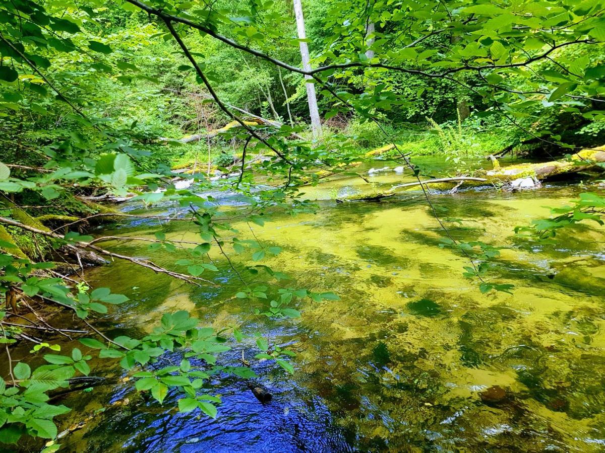 Jaskolka - Pokoje I Apartament Przy Plazy Olsztyn  Exteriör bild